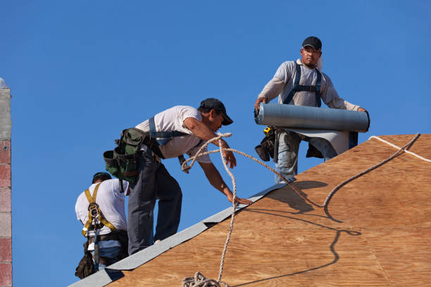 Best Roof Maintenance Services  in Vineland, NJ